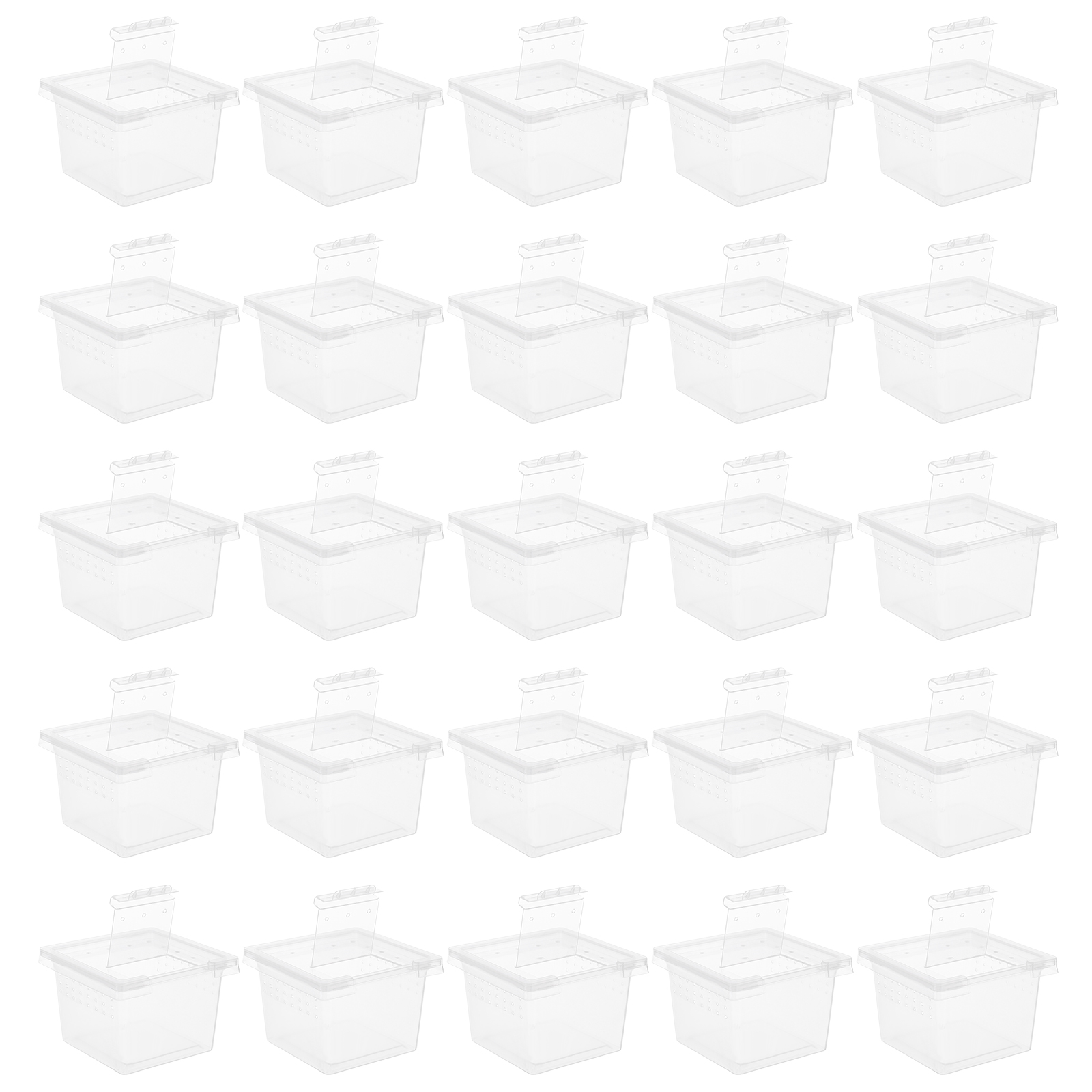 Lab Incubator - 100 Pcs Pet Feeding Box Acrylic