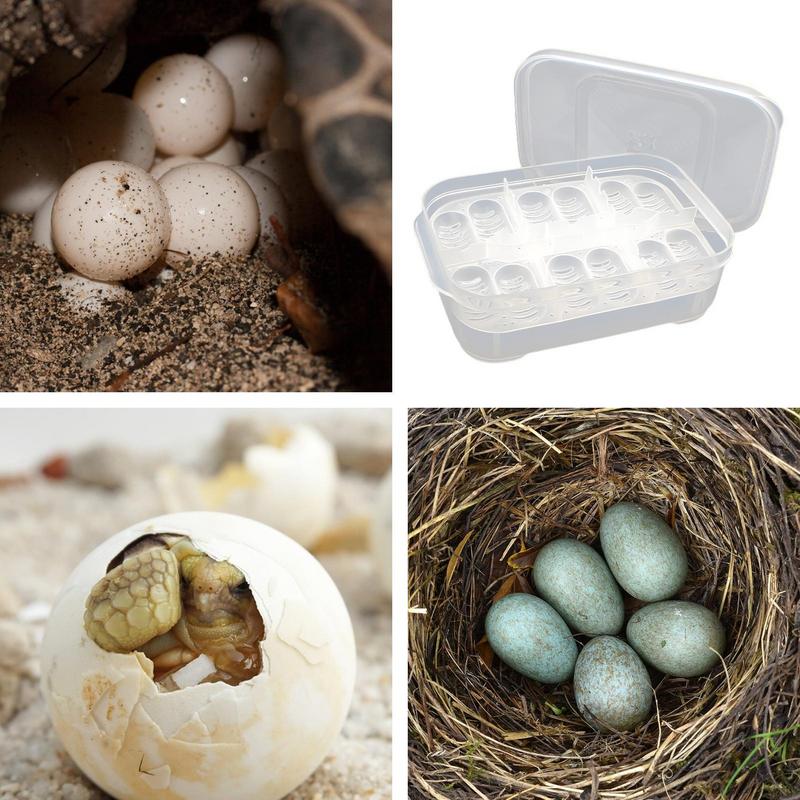Reptile Breeding Incubator 12  - Lab Incubator recensie en prijs