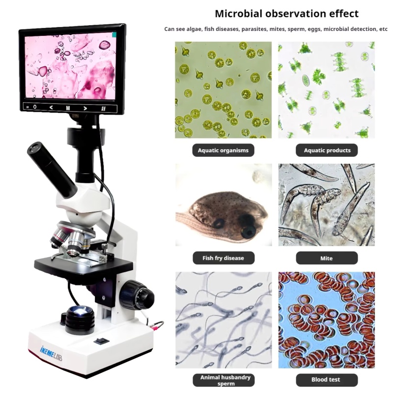 WEIAI 7 inches Digital Microsc - Digital Microscope recensie en prijs