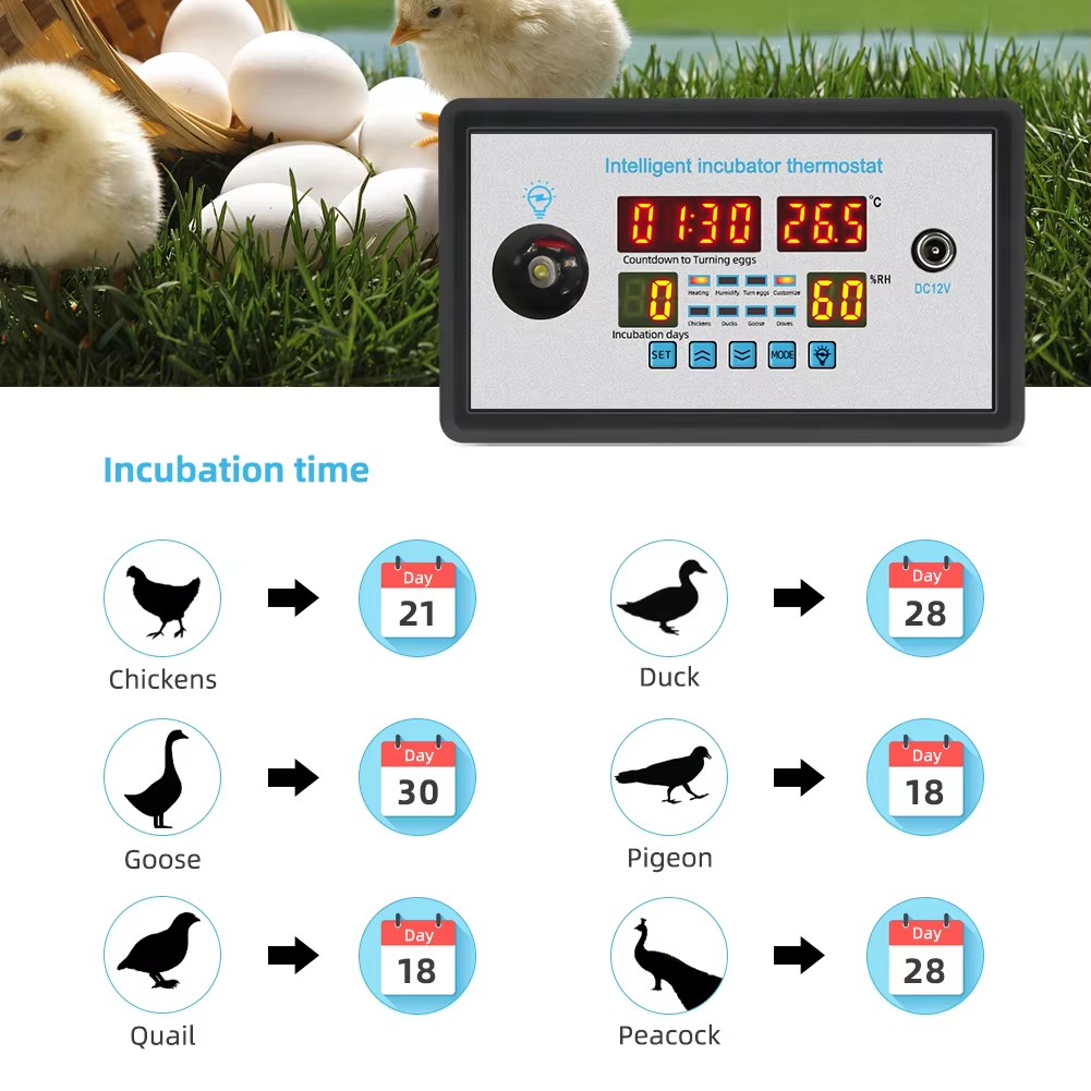 ZFX-W9002 12V/220V Egg Incubat - Lab Incubator recensie en prijs