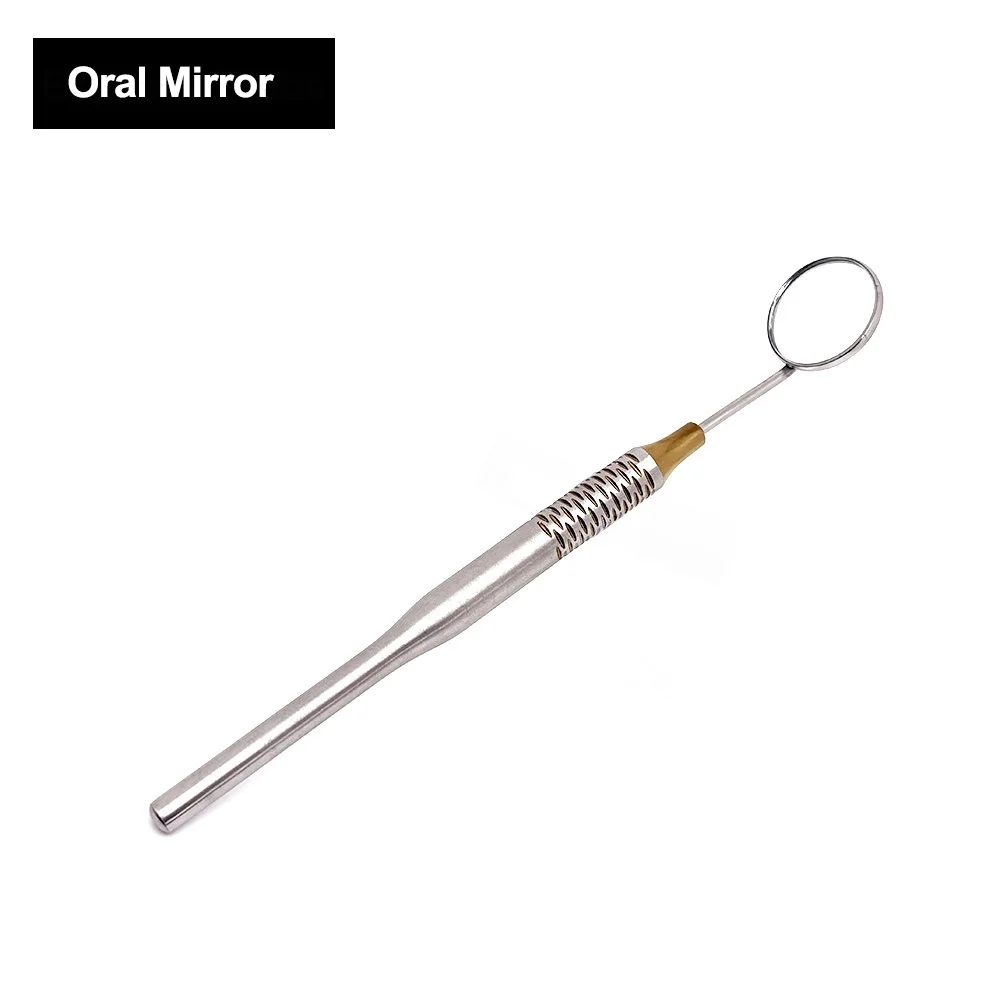 1Pc Stainless Steel Dental Mou - Dental Mirror Probe recensie en prijs