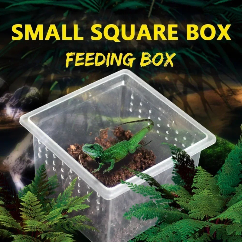 10 Feeding Box Reptile Cages I - Lab Incubator recensie en prijs