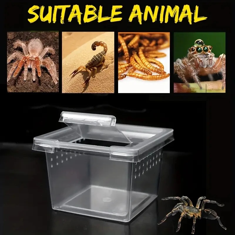 10 Feeding Box Reptile Cages I - Lab Incubator recensie en prijs
