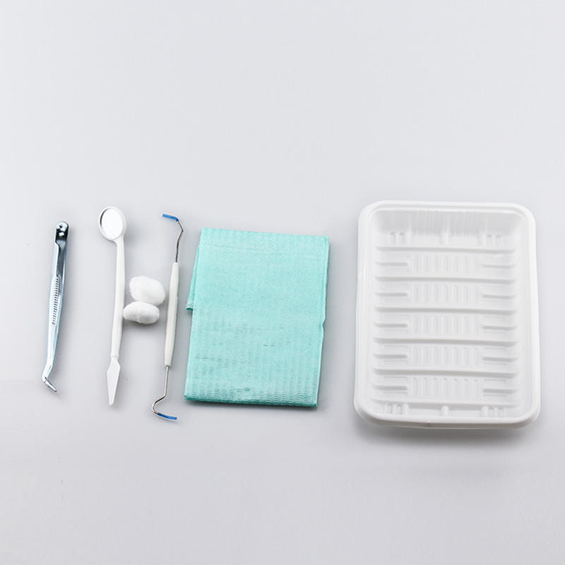 TJDent Disposable Dental Oral  - Dental Mirror Probe recensie en prijs