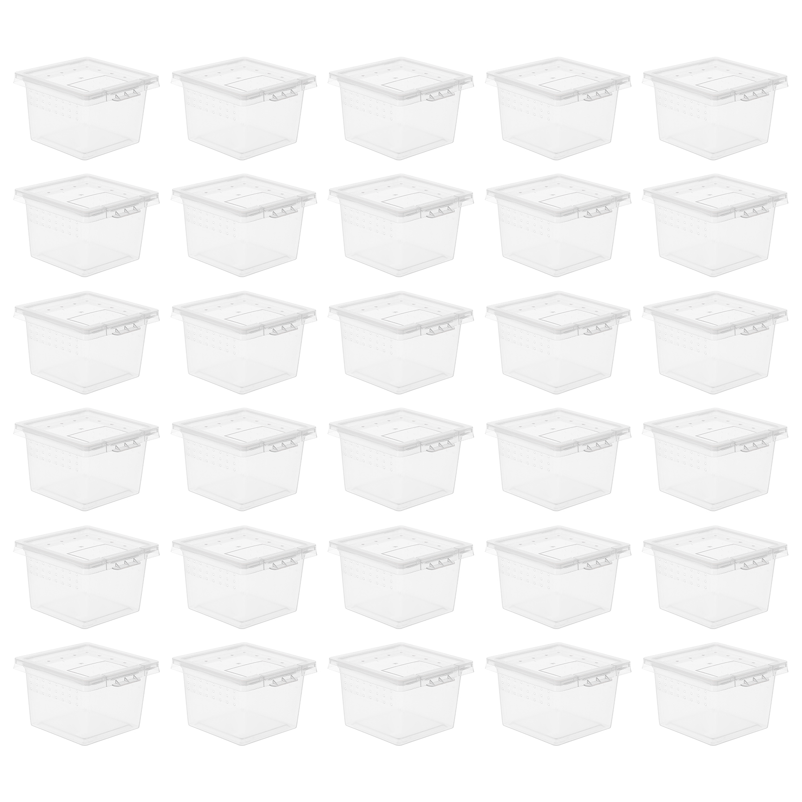 100 Pcs Pet Feeding Box Acryli - Lab Incubator recensie en prijs